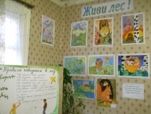 выставка в детской библиотеке